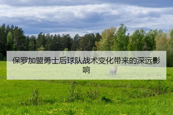 保罗加盟勇士后球队战术变化带来的深远影响